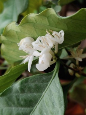 �������������� ����: ��� ������ ���� ������ �� ���� �����