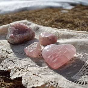 ����������� ��������� �������������: ��� ������� � ����� ��������