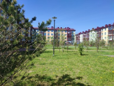 ��� ����� �������� ���������� �������� ���������