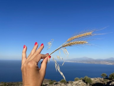 ������ ���������: ��� ��������� ����������