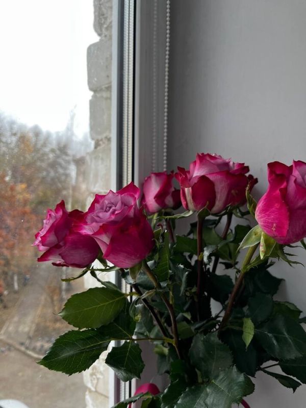 ��������������� � ����������: ��� ����� ������������� support