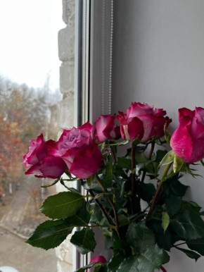 ��������������� � ����������: ��� ����� ������������� support