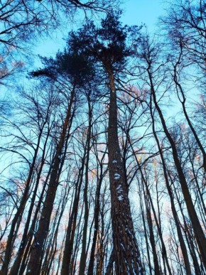 ��� ����� � ���������� �������� � ������ � ������������ �����������