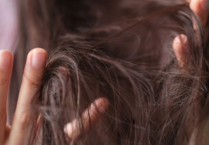 ��������: ������ ���� ���� ����������� ���� � ��� � ���� ��������