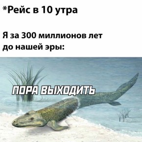 ������������� � �����������: ��� �� ���������� � ��������