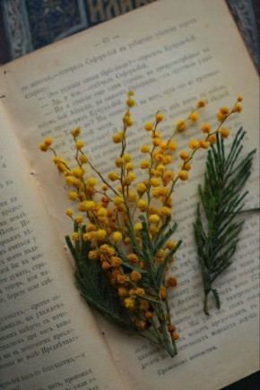 �������� ����� � ����� �������