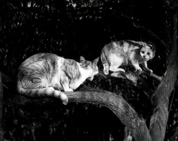 ��� ���������� �� ������� ��������� � ���������� ��� � ����