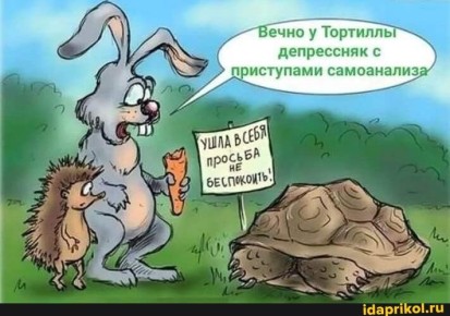 ������ ���������� �� �������� � �������: ��� �������� �������