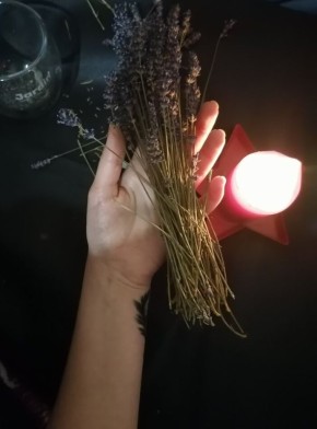 ������ � �������: ��� ����� ����� � ������� �����������