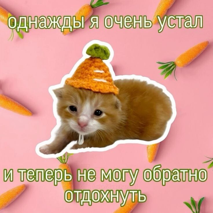 ������ ������������� ��������� ����� ���������� ���� ��� ������ � �����