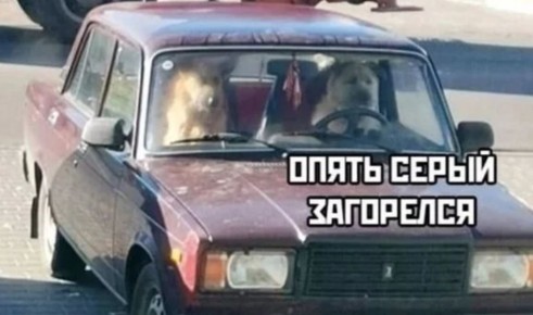 ���������� �� ����������? ������������ ��������� ����������� �������