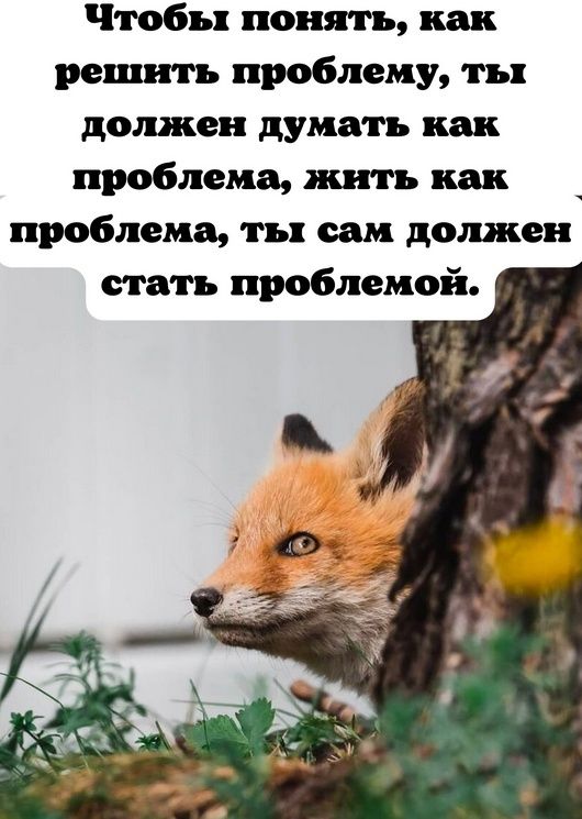 Когда жизнь ломает сны: как сохранять улыбку в трудные времена